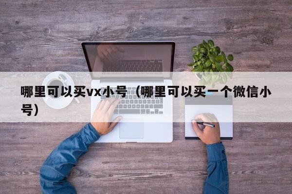 哪里可以买vx小号（哪里可以买一个微信小号）