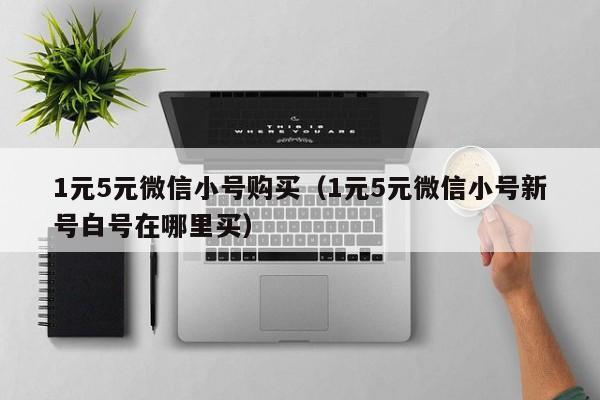 1元5元微信小号购买（1元5元微信小号新号白号在哪里买）