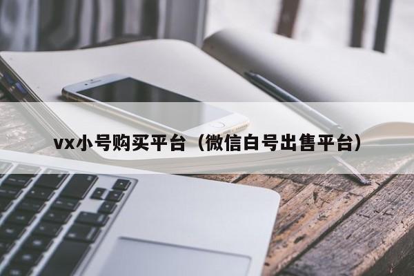 vx小号购买平台（微信白号出售平台）