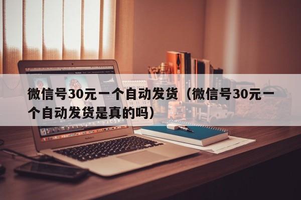 微信号30元一个自动发货（微信号30元一个自动发货是真的吗）