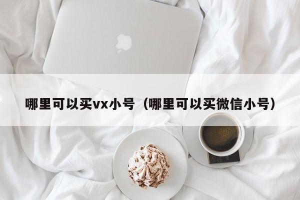 哪里可以买vx小号（哪里可以买微信小号）