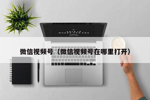 微信视频号（微信视频号在哪里打开）