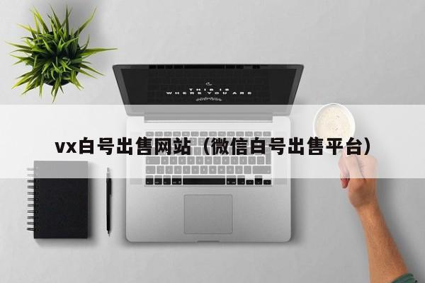 vx白号出售网站（微信白号出售平台）