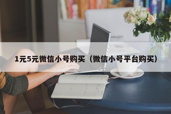 1元5元微信小号购买（微信小号平台购买）