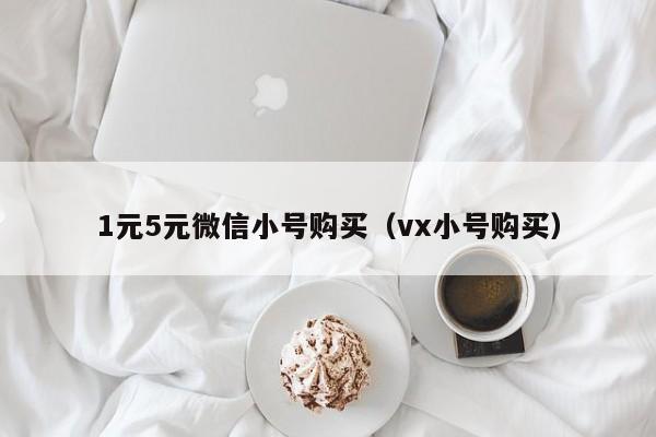 1元5元微信小号购买（vx小号购买）