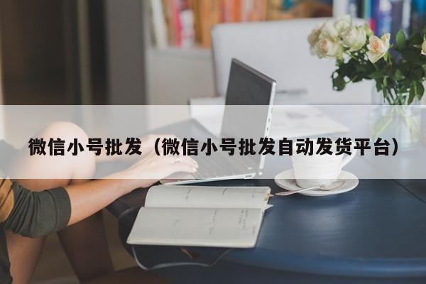微信小号批发（微信小号批发自动发货平台）