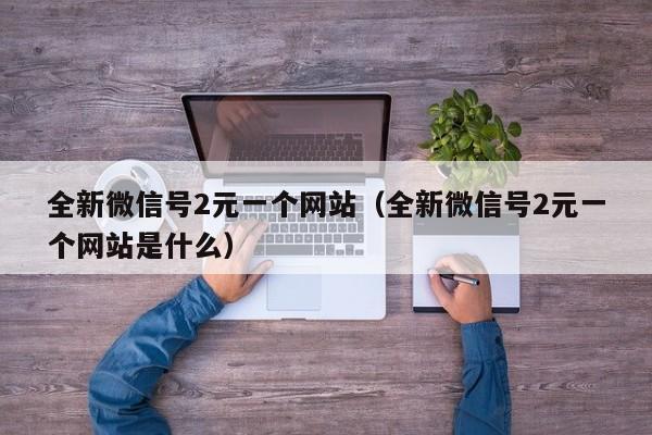 全新微信号2元一个网站（全新微信号2元一个网站是什么）