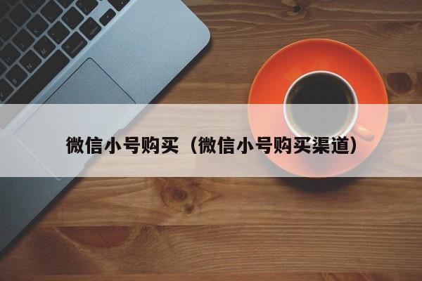 微信小号购买（微信小号购买渠道）